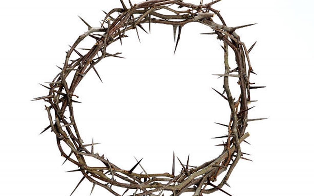 Narzisstische Manager sind Gift für Unternehmen